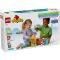 LEGO® DUPLO - Targ de distractii (10453)
