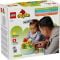 LEGO® DUPLO - Sortator de forme: casa pentru catei (10441)