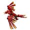 LEGO® Creator - Dragon medieval (31161)