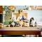 LEGO® Creator - Animale salbatice: Familia de ursi panda (31165)