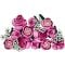 LEGO® Botanicals - Buchet de trandafiri roz (10374)