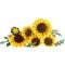 LEGO® Botanicals - Buchet de florile-soarelui (11502)