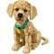 LEGO® Icons - Catelus Golden Retriever (11384)