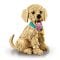 LEGO® Icons - Catelus Golden Retriever (11384)