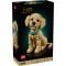 LEGO® Icons - Catelus Golden Retriever (11384)