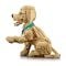 LEGO® Icons - Catelus Golden Retriever (11384)