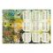 Set gel modelator cu 6 culori, Tuban, Tubi Jelly, Insecte