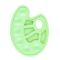 Paleta de vopsea din plastic, Starpak, Verde