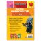 Minecraft, Caiet de limba engleza, 7-8 ani
