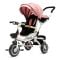 Tricicleta copii, Juju Bliss Ride, Roz