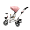 Tricicleta copii, Juju Bliss Ride, Roz