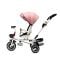 Tricicleta copii, Juju Bliss Ride, Roz