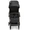 Carucior Leclerc, Influencer, Black Brown