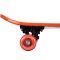 Penny board, Action One, Extreme Passion, print pe ambele fete, 41 x 12 cm, Multicolor