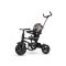 Tricicleta pliabila, Qplay Rito Star, Gri