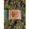 Observator insecte BugView, Carson, cu lupa marire 5x