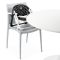 Scaun de masa Chicco Booster Chairy, Negru/Alb, 6 luni+