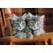 Puzzle Clementoni, Pisiciute, 500 piese