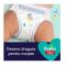 Scutece Pampers 6, Chilotel de noapte 15+ kg, 19 buc