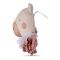 Decoratiune de perete, Ursul Beau cu guler, Bon Ton Toys, 32 cm