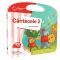 Carte interactiva, Raspundel Istetel, Cantecele 2