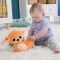 Jucarie de plus 2 in 1, Fisher Price, Vidra Rockin Tummy Time, HXG96
