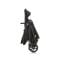 Carucior Graco Transform, 2 In 1, Black