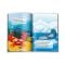 In ocean, Bebe puzzle