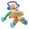 Antemergator cu activitati, Fisher Price, Catelusul, Lb Romana, GXR70