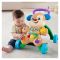Antemergator cu activitati, Fisher Price, Catelusul, Lb Romana, GXR70