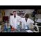 Creeaza propria figurina, MrBeast Lab Mutators, Stealth Panther