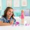 Papusa cu accesorii, Barbie, Family&Friends, Malibu Endless Adventure, JMJ47