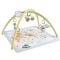 Saltea cu activitati, Fisher Price, Simply Senses Newborn Gym, JMN74