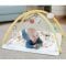 Saltea cu activitati, Fisher Price, Simply Senses Newborn Gym, JMN74