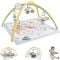 Saltea cu activitati, Fisher Price, Simply Senses Newborn Gym, JMN74
