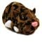 Jucarie Zhu Zhu Pets Hamsteri 3