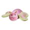 Lampa de veghe Summer Infant - Fluturasul somnoros