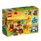 LEGO® DUPLO® - Savana (10802)