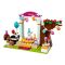 LEGO Friends - Petrecere de ziua de nastere (41110)