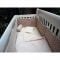 Lenjerie de pat copii Schimbul 3 -  Mustati, 4 piese, 140 x 70cm