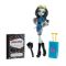 Monster High - Papusi Plimbarete