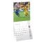 Calendar de perete 2026, FRF, Echipa Nationala de Fotbal