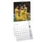 Calendar de perete 2026, FRF, Echipa Nationala de Fotbal