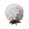 Set experimente de crescut cristale, 4M, Stiinta cristalelor
