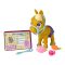 Ponei cu accesorii, Simba, Pamper Petz