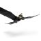 Figurina zburatoare cu radiocomanda, DreamWorks Dragons, Toothless, 6074369