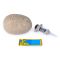 Figurina dinozaur surpriza, Primal Hatch, Hybrid Hatchers, 6075091