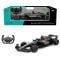 Masina cu telecomanda, Rastar, Mercedes-AMG F1 W15 E Performance, 1:12