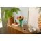 LEGO® Botanicals - Buchet de lalele (11501)