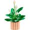 LEGO® Botanicals - Crinul pacii (11504)